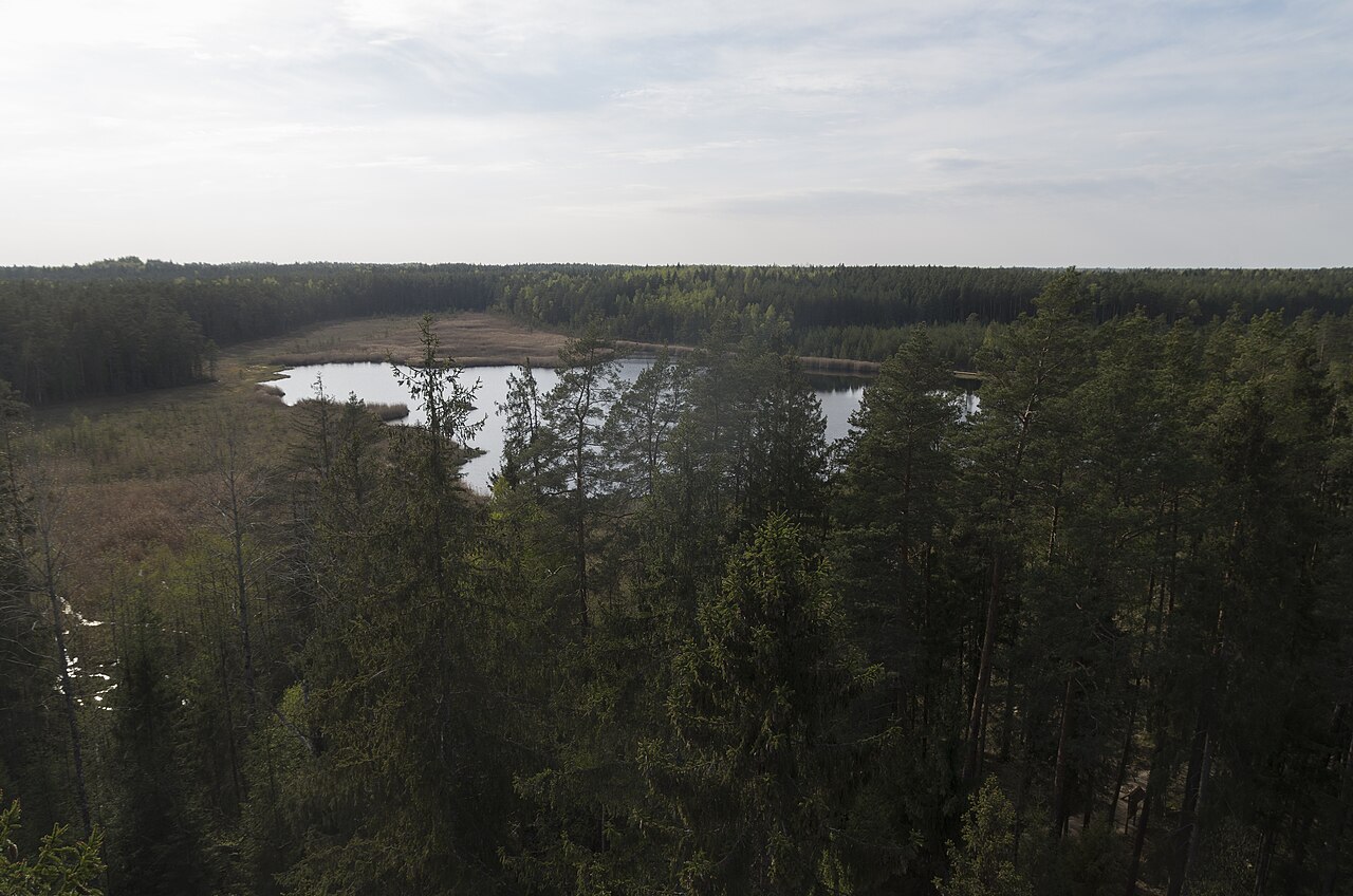 Kangaru ezers no skatu torņa