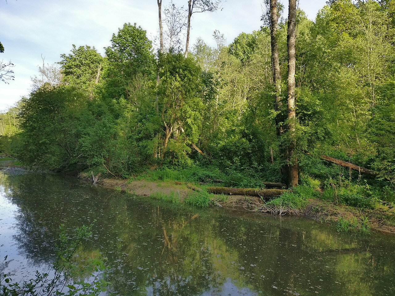 Vilces upe Vilces dabas parkā