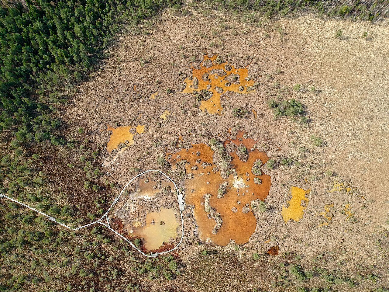 Oranži sēra dīķi Raganu purvā un laipa no putna lidojuma