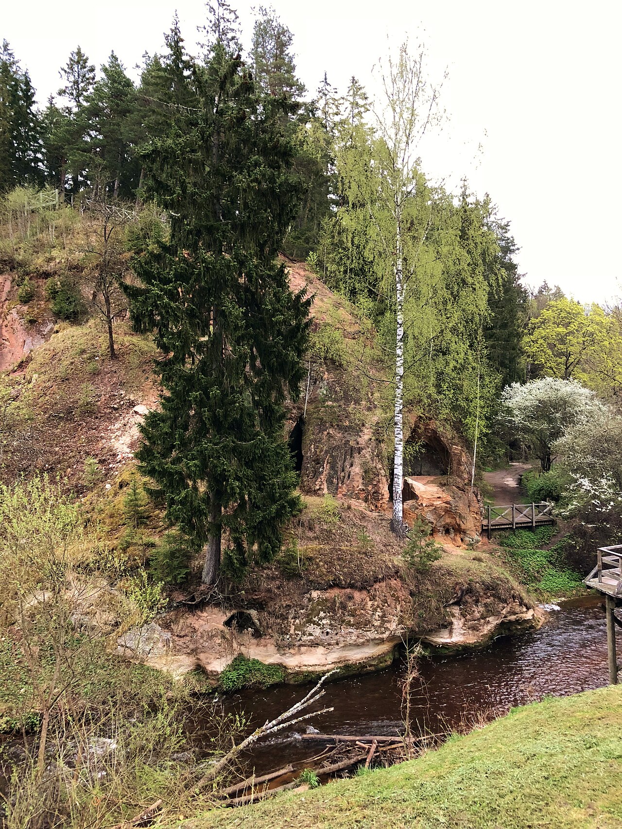 Lustūža klints Līgatnē pavasarī