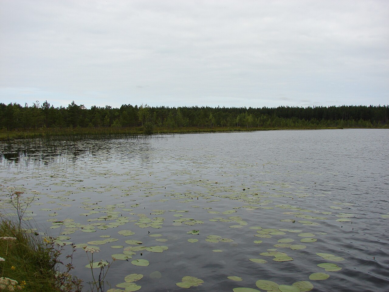 Teirumnīku ezers ar lēpēm