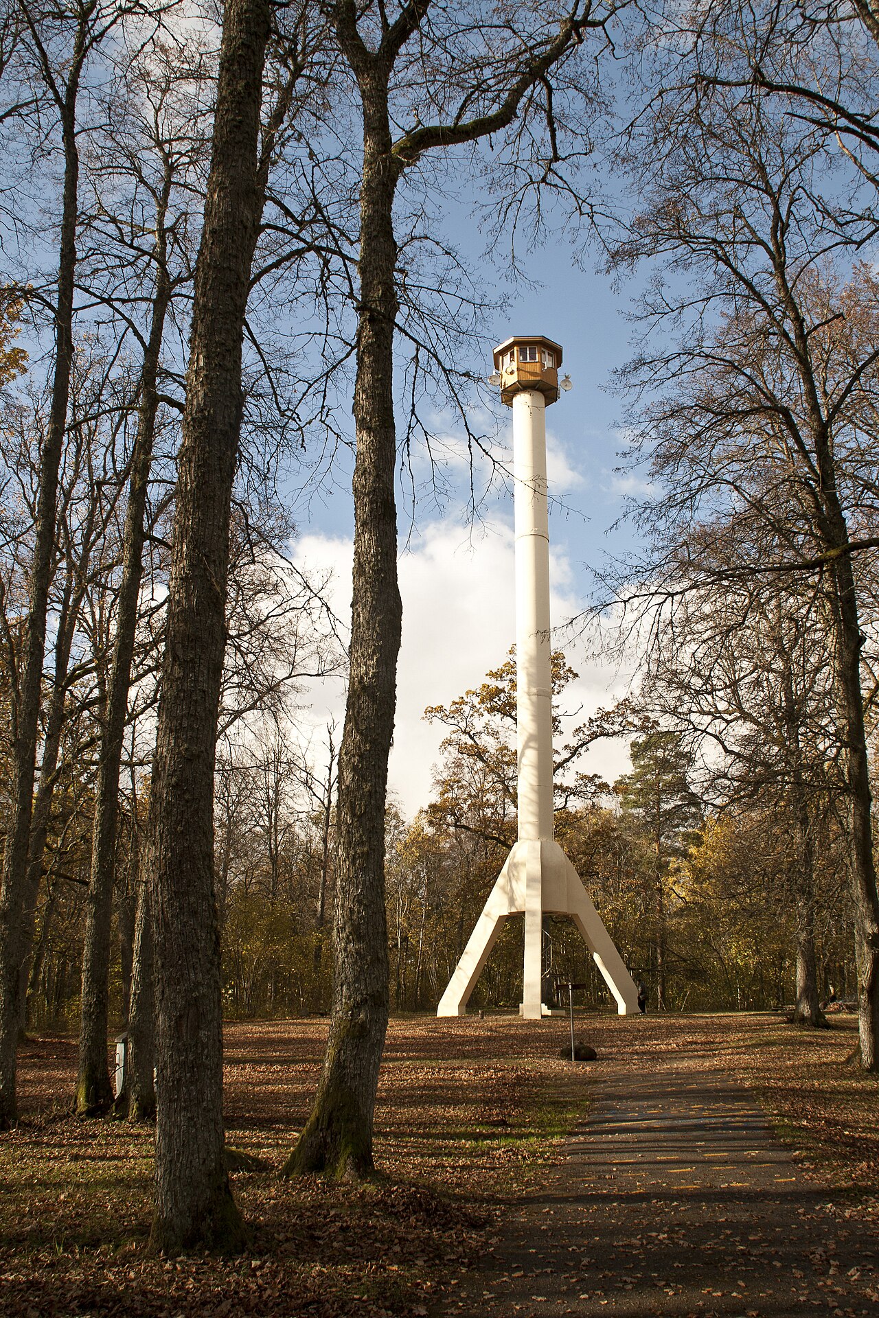 Zilākalna skatu tornis rudenī